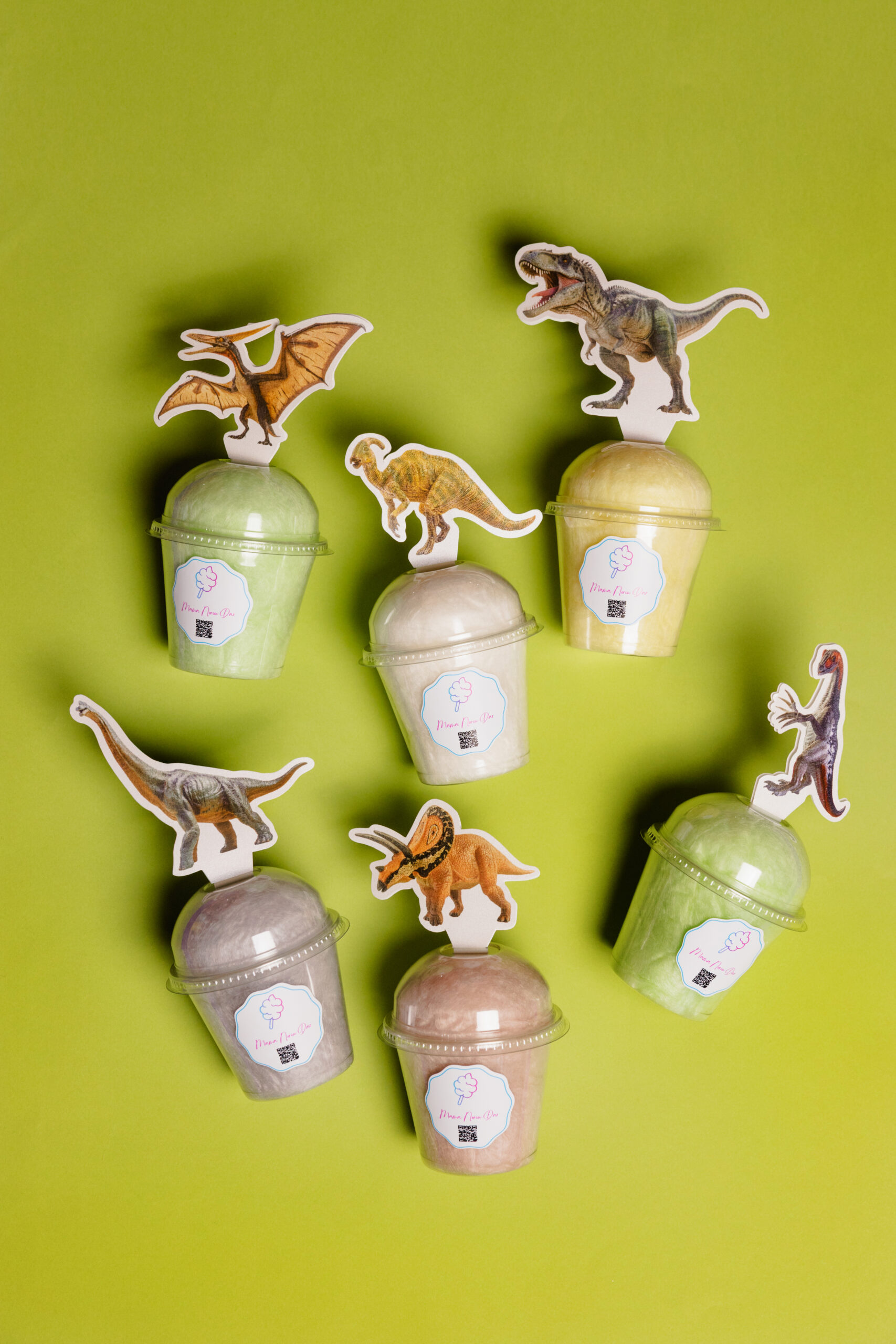 12 vnt. “Dinozaurų” temos indelių rinkinys